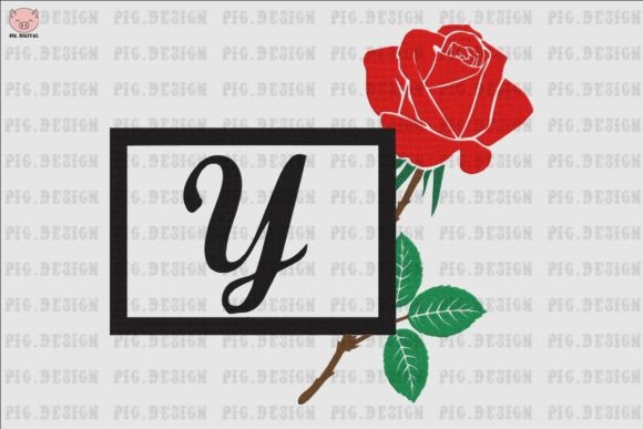 Rose Font Y: A Designer’s Real-World Review